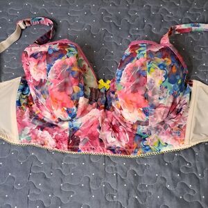 Cleo Floral Multicolor Bra